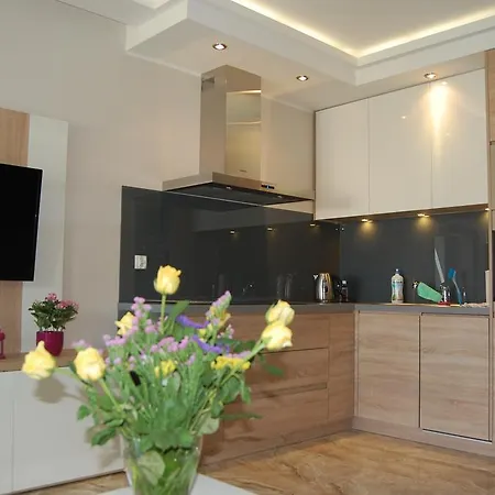 Luksusowy Solevento Appartement Władysławowo